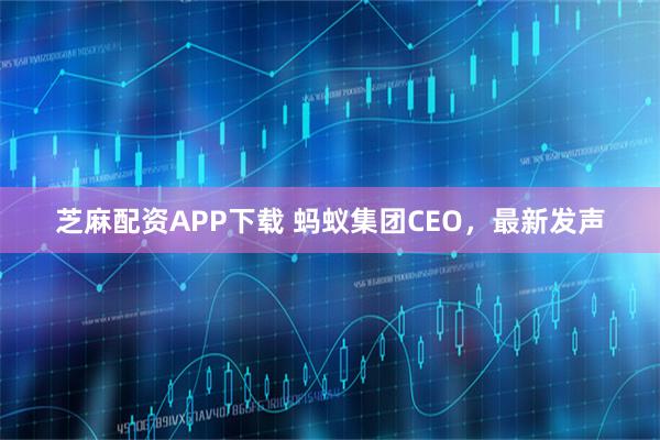 芝麻配资APP下载 蚂蚁集团CEO，最新发声